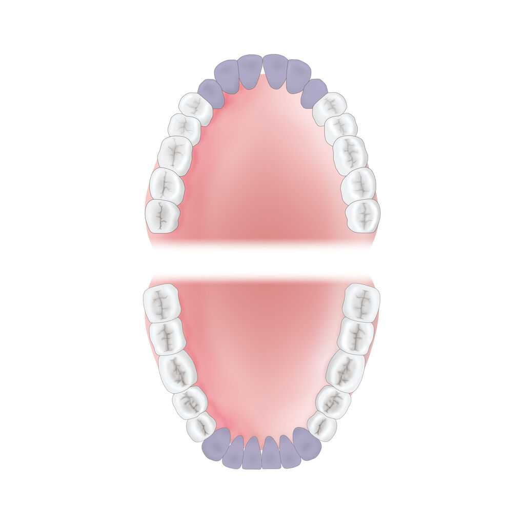 mouth-area-guide Young Innovations