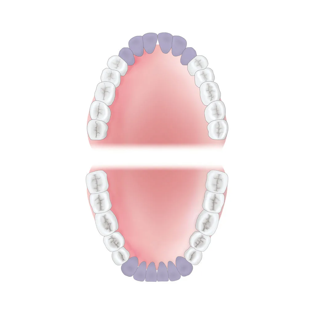 mouth-area-guide Young Innovations